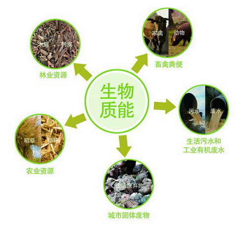 生物质能源